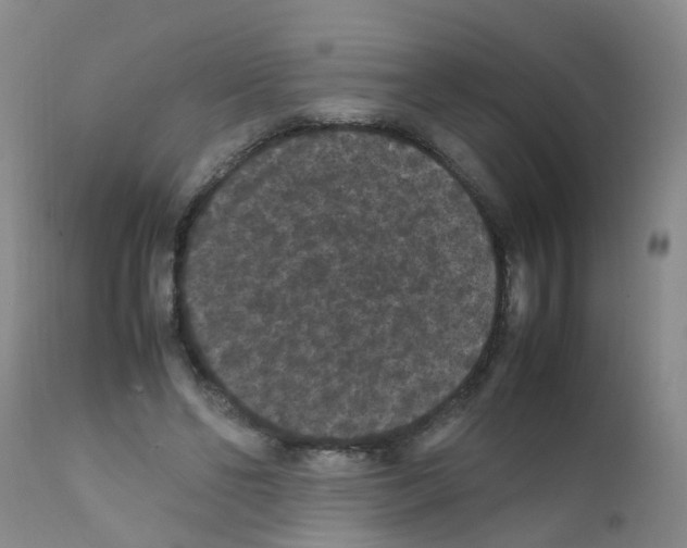 X0000111860494200909031754