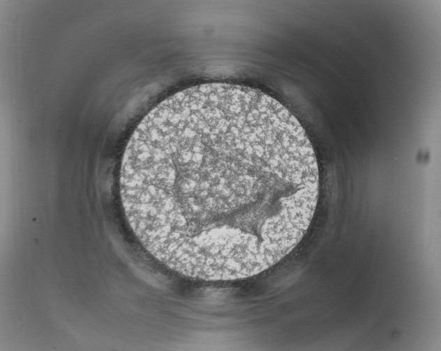 X0000111860495200909031754