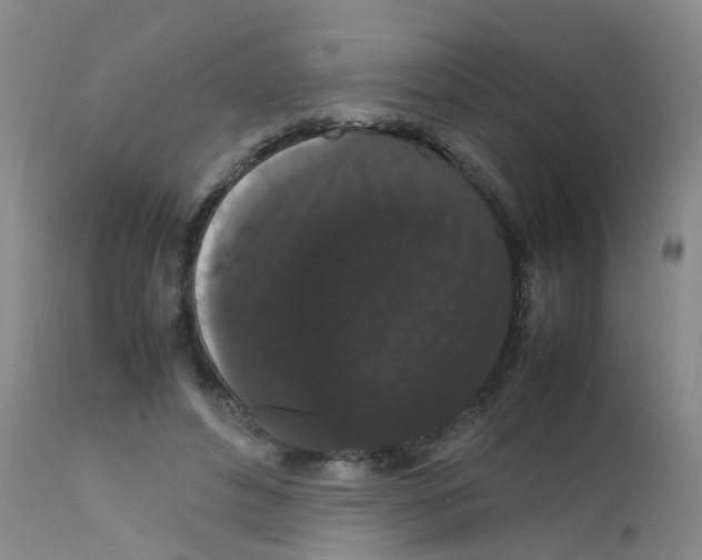 X0000111860496200909031754