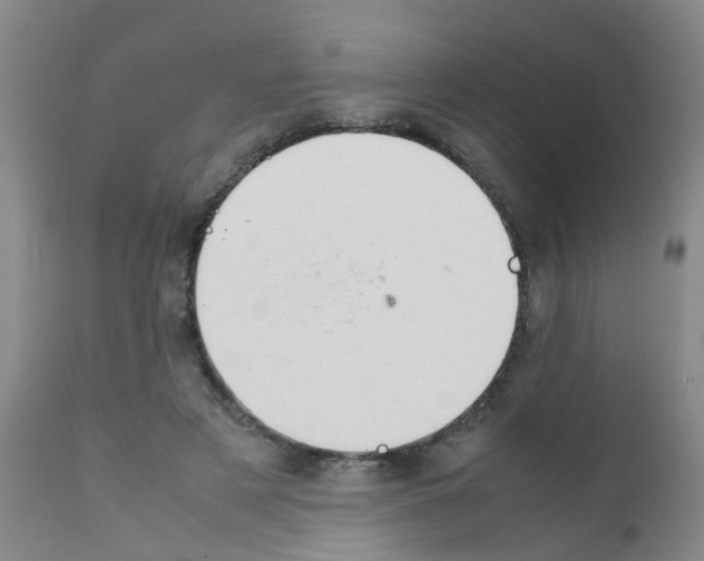 X0000111860497200909031754
