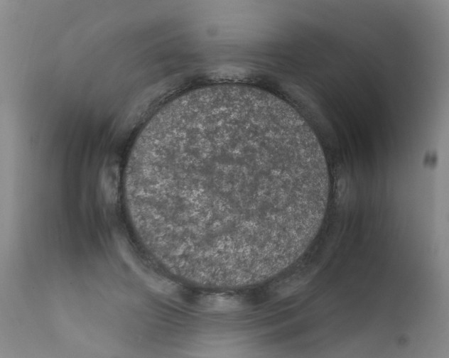 X0000111860498200909031754