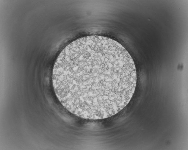 X0000111860499200909031754