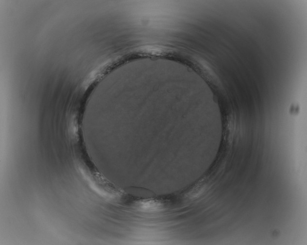 X0000111860500200909031754