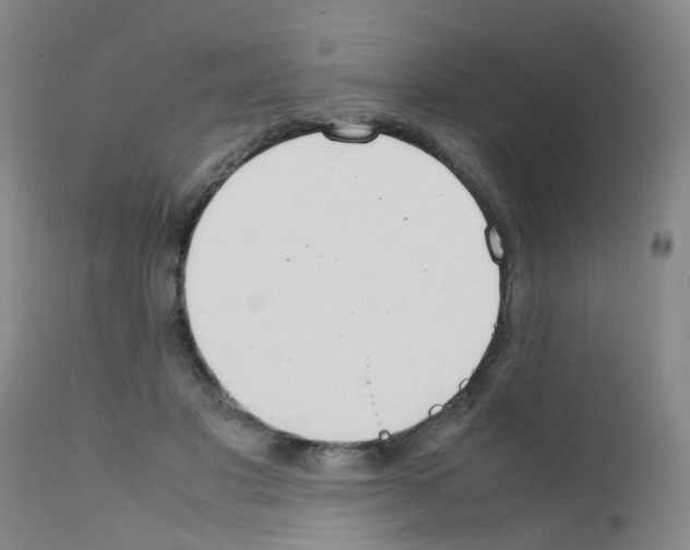 X0000111860501200909031754