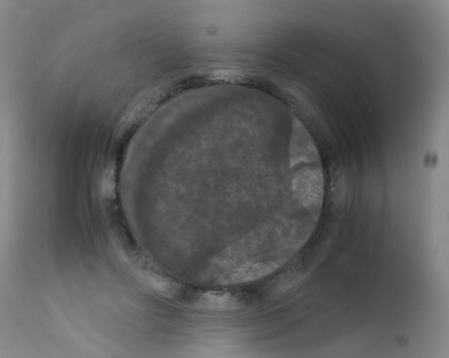 X0000111860502200909031754