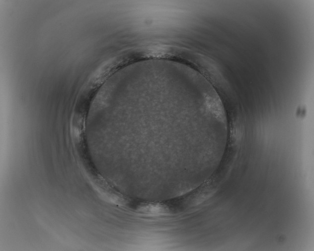 X0000111860503200909031754