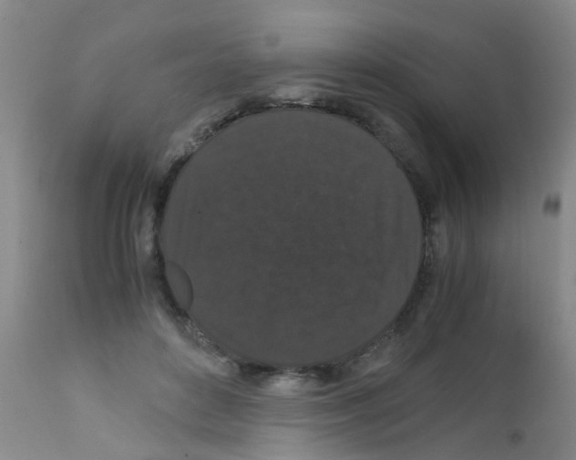 X0000111860504200909031754