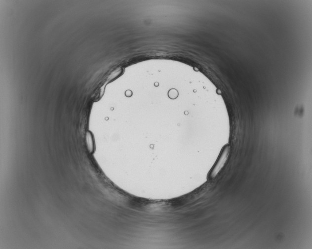X0000111860505200909031754