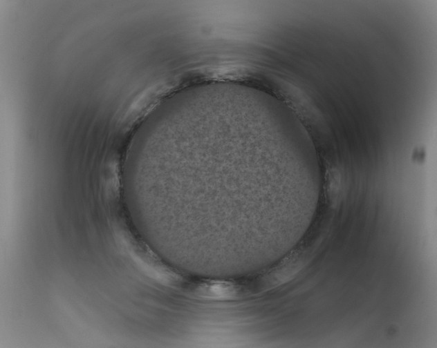 X0000111860506200909031754