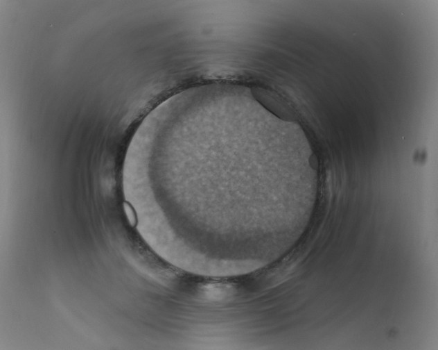 X0000111860508200909031754
