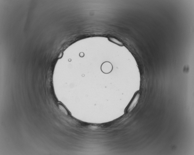 X0000111860509200909031754