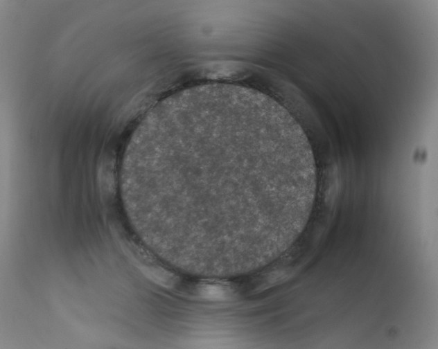 X0000111860510200909031754