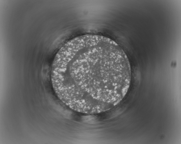X0000111860511200909031754