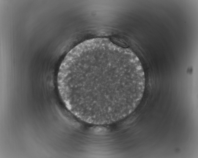 X0000111860512200909031754