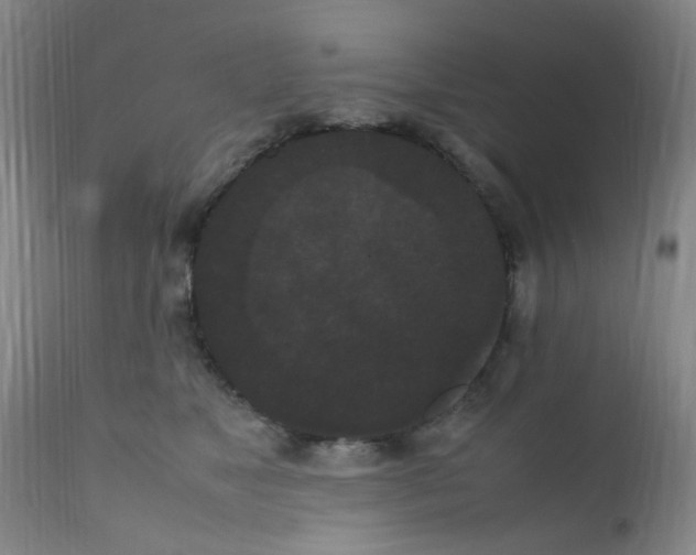 X0000111860517200909031754