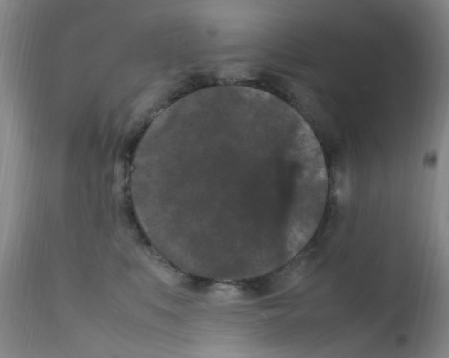 X0000111860519200909031754