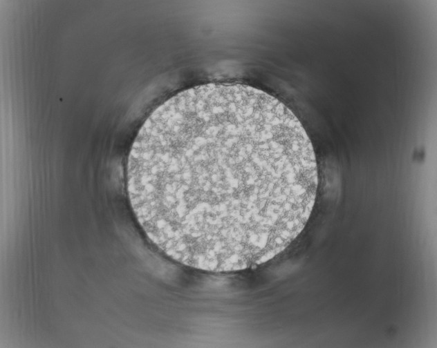 X0000111860523200909031754