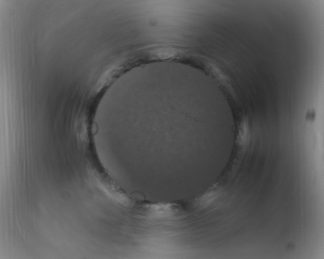 X0000111860524200909031754