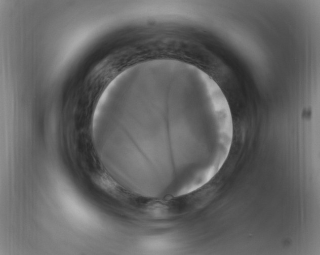 X0000111860526200909031754