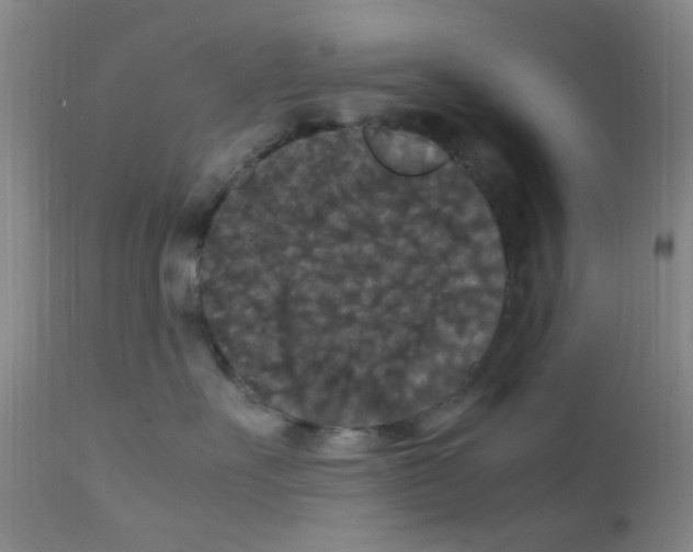 X0000111860527200909031754
