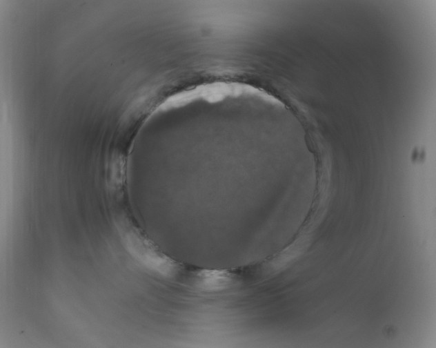 X0000111860528200909031754