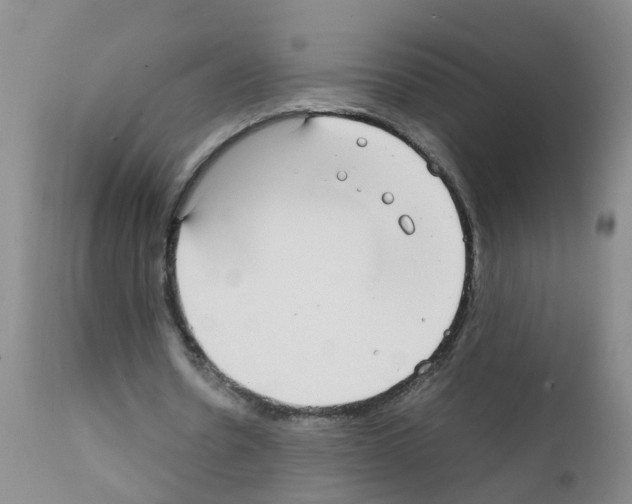 X0000111860530200909031753