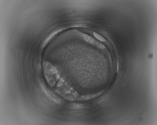 X0000111860531200909031753