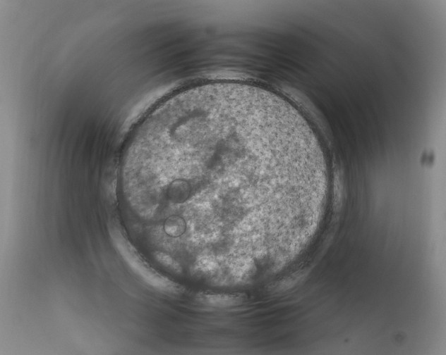 X0000111860533200909031753