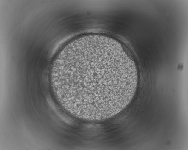 X0000111860535200909031753