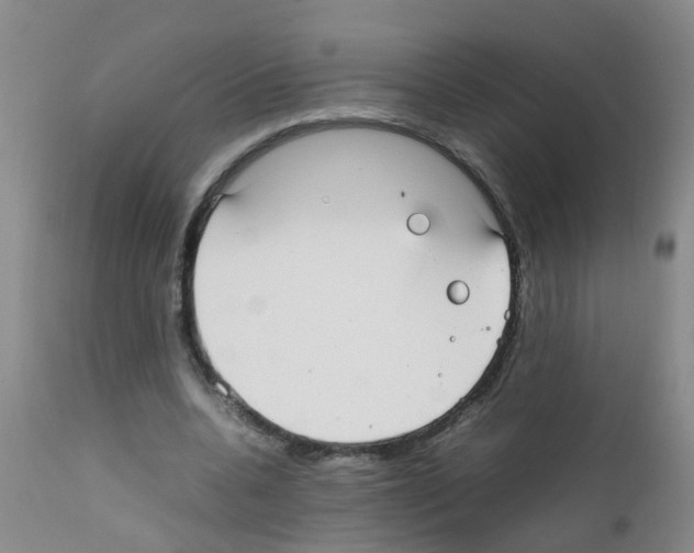 X0000111860536200909031753