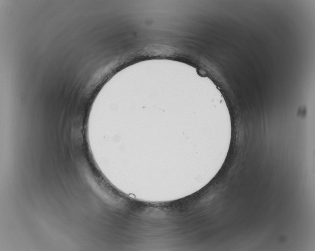 X0000111860538200909031753