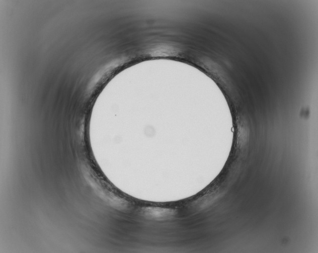 X0000111860539200909031753