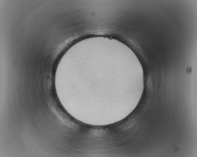 X0000111860540200909031753