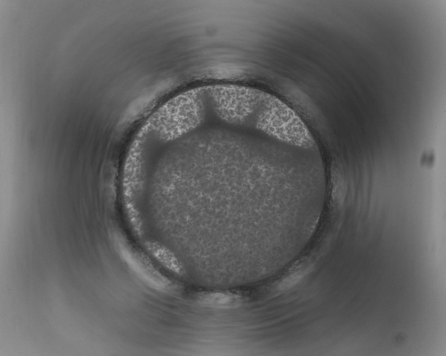 X0000111860542200909031753