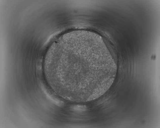 X0000111860543200909031753
