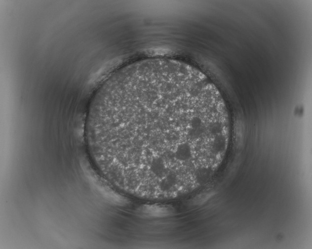 X0000111860545200909031753