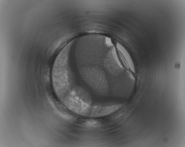 X0000111860547200909031753