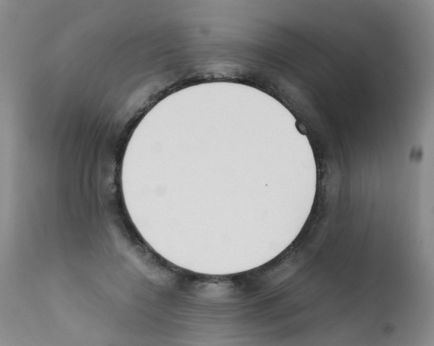 X0000111860548200909031753