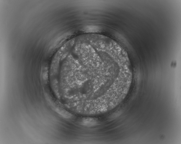 X0000111860549200909031753