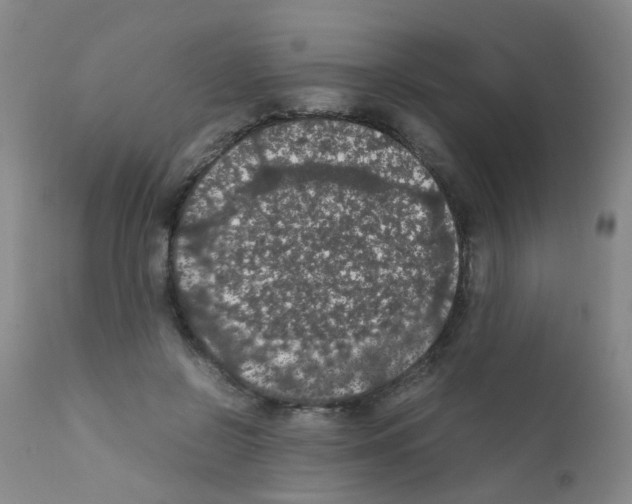 X0000111860550200909031753