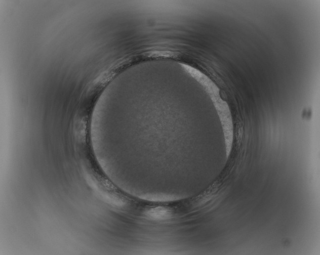 X0000111860551200909031753