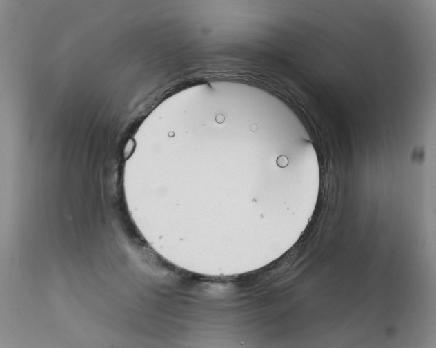 X0000111860552200909031753