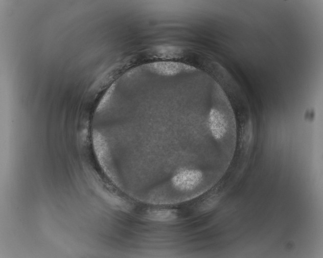 X0000111860553200909031753