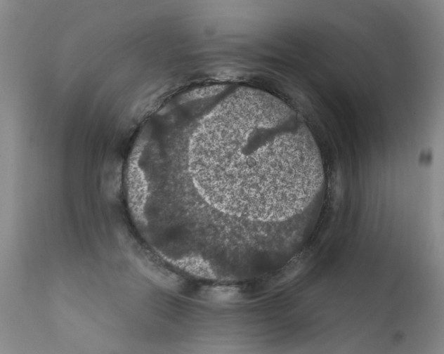 X0000111860554200909031753