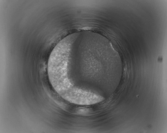 X0000111860555200909031753