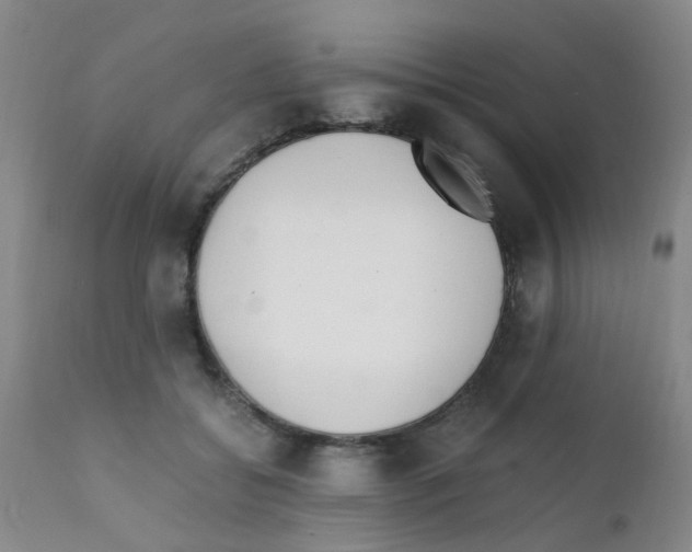 X0000111860556200909031753