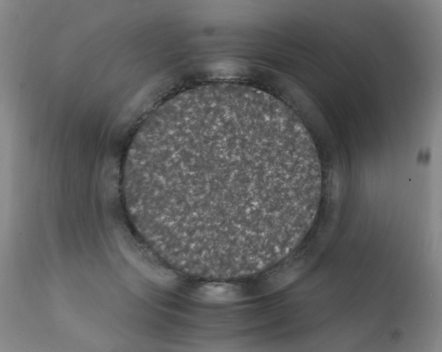 X0000111860557200909031753