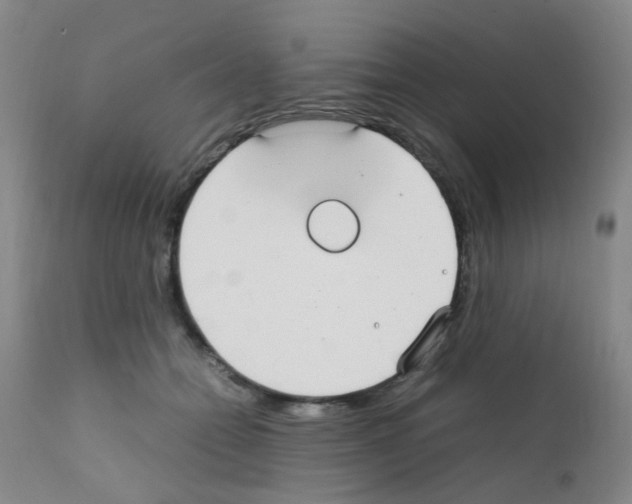 X0000111860558200909031753