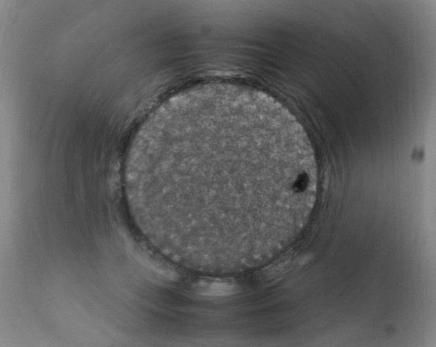 X0000111860559200909031753