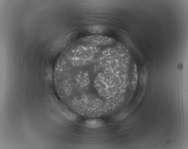 X0000111860561200909031754